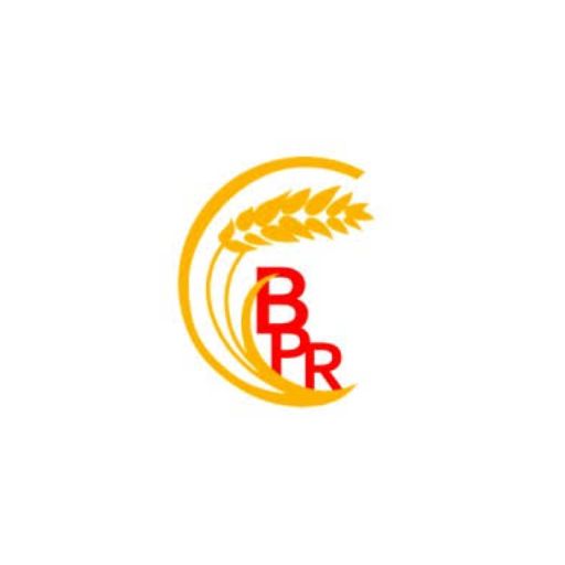 PT Belitang Panen Raya