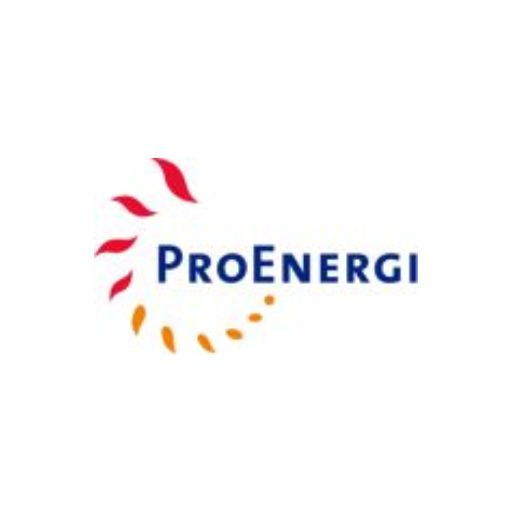 PT Pro Energi