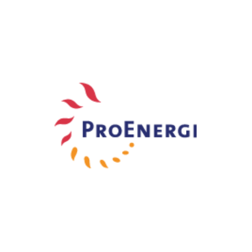 PT Pro Energi