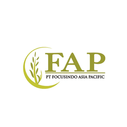 PT Focusindo Asia Pacific