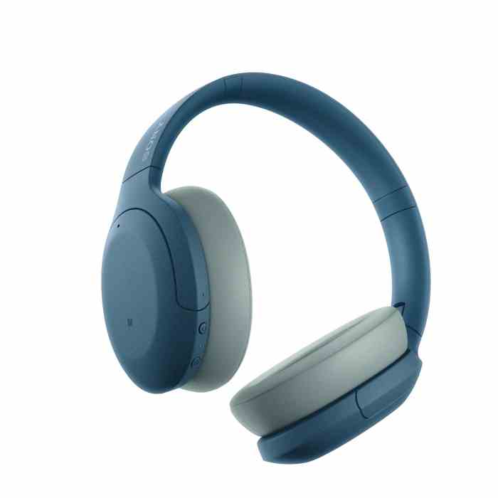 Shop Sony Noise Cancelling Headphones With Industry Leading ANC